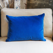 Designers Guild Cassia Velvet